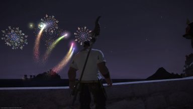 Enjoying the Moonfire Faire fireworks