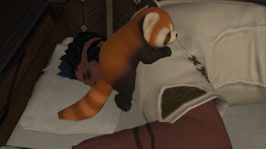 Nap time panda cuddles